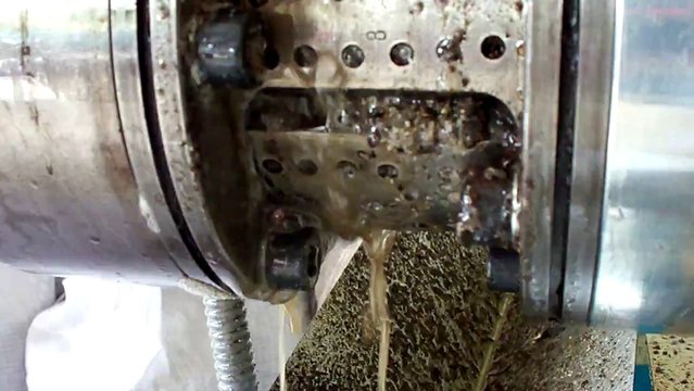 Sunflower Seed Oil Extraction (Unshelled)