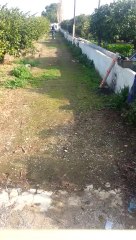 30 mt.  shooting with compound