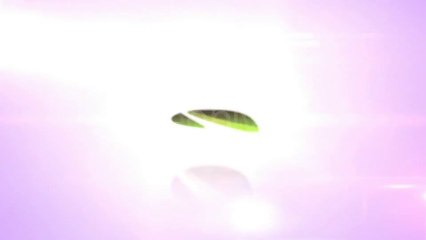 Elegant Rotation Logo Reveal - After Effects Template