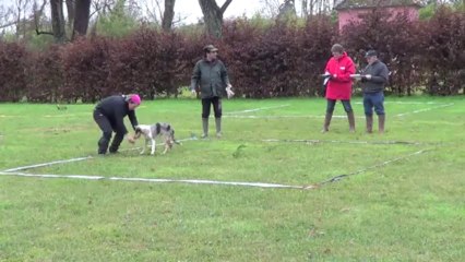 Buzz Smooth Cavage 4 mois et demi