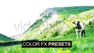 Best Color FX Preset 100-Pack - After Effects Template
