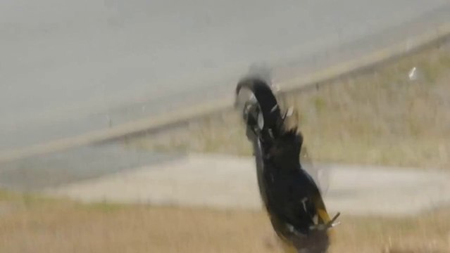 Super Bike Gets Destoryed! - Daytona SportBike Race Martin Cardenas Epic Crash