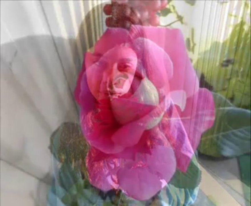 l'ete indien (interpretation perso)