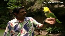 Talking Parrot at Jurong Bird Park, Singapore by Asiatravel.com