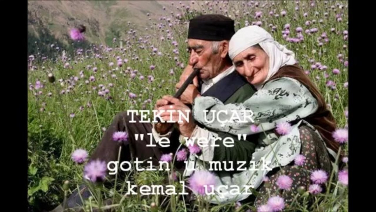 Tekin Uçar Le Were