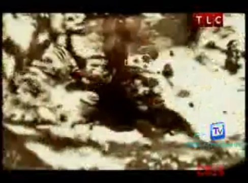 Nigella Bites 6th January 2014 Video Watch Online pt3