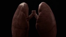 Campagne Anti-Tabac anglaise choquante - En animation 3D