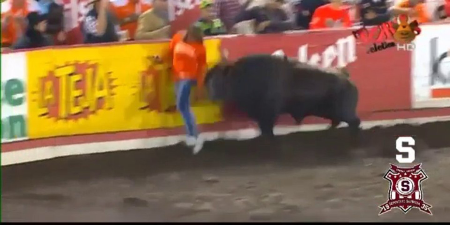 Une Femme éclatée par un taureau!