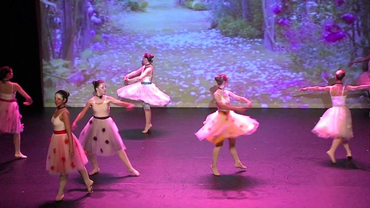 Spectacle de Danse 2013