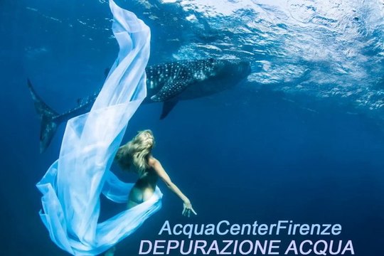 ACQUA CENTER FIRENZE AcquaCenterFirenze depurazione acqua depuratori acqua depuratore acqua toscana assistenza tecnica firenze prato pistoia arezzo grosseto livorno lucca massa pisa siena acqua center firenze acquacenterfirenze depurazione acqua depurator