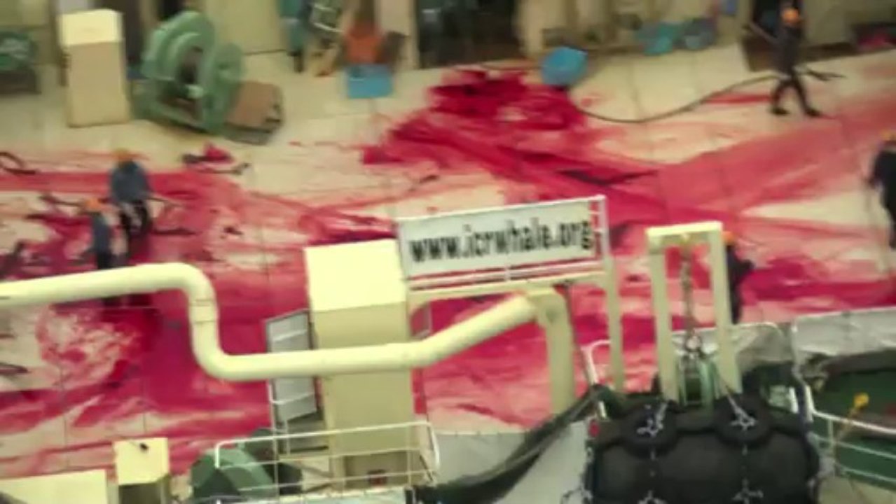 Matanza de ballenas en Océano Antártico