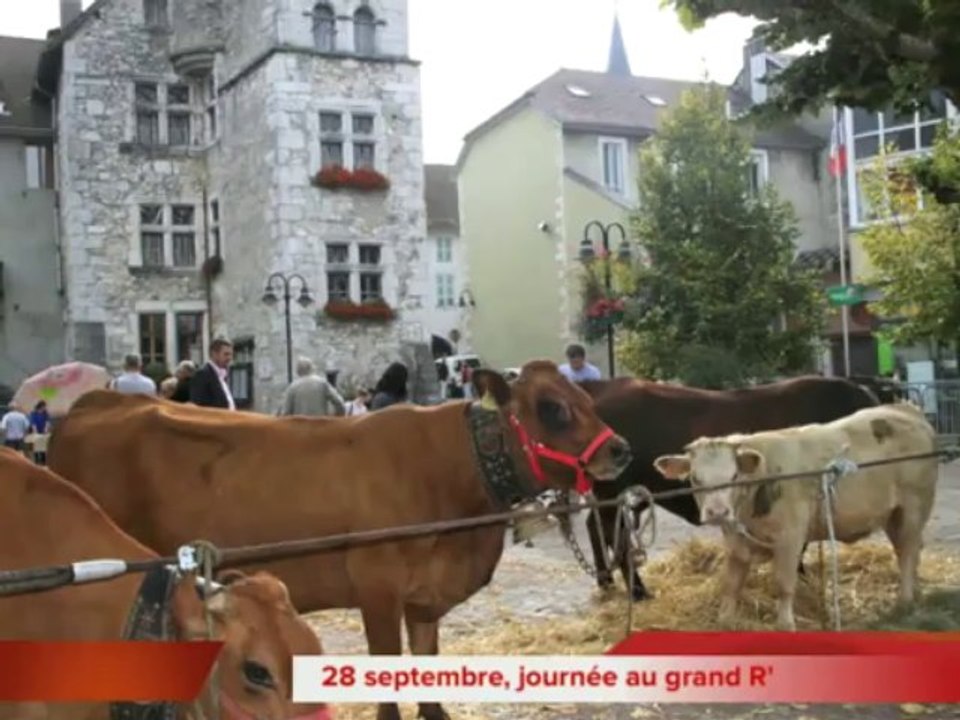Les Echelles_voeux 2014