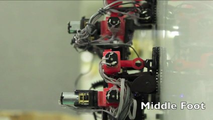 Un "robot gecko" bientôt dans l'espace ?