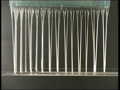 Cheveux mouillés, cheveux collés !