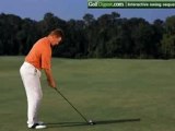 Full Swing- Ernie Els - Side