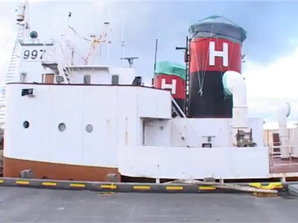 Reykjavik bateau baleinier  un dimanche une fille Christine  mai 2004