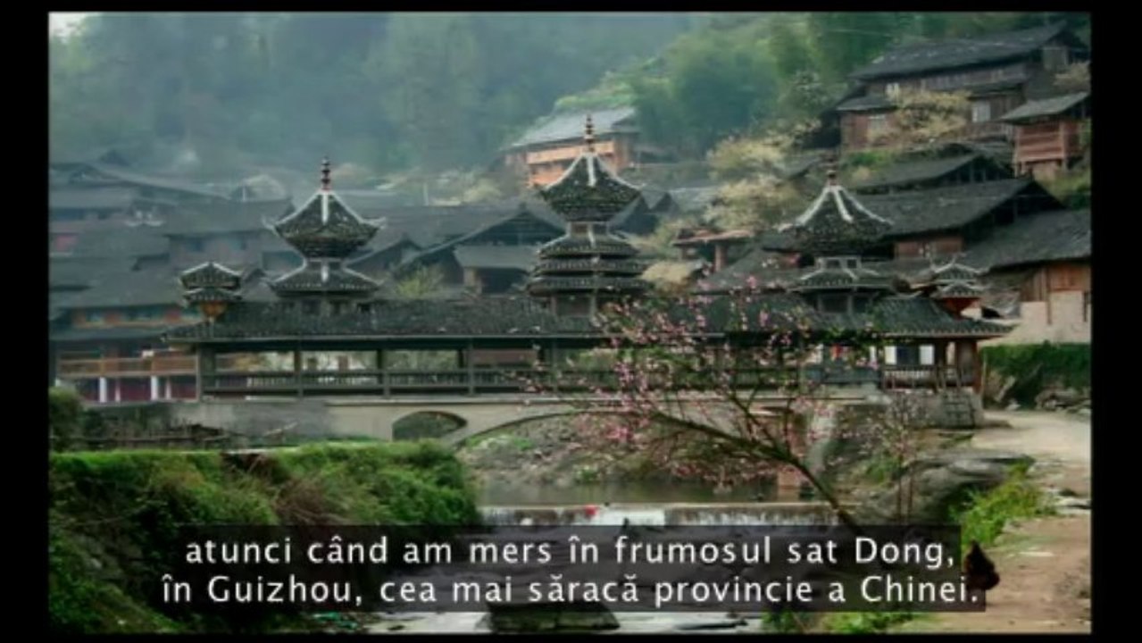 AmyTan - unde e creativitatea - 2008-ro