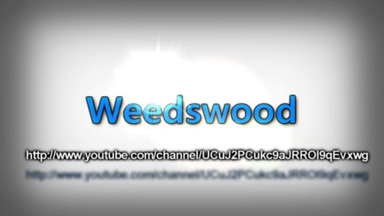 Intro de ma nouvelle chaine