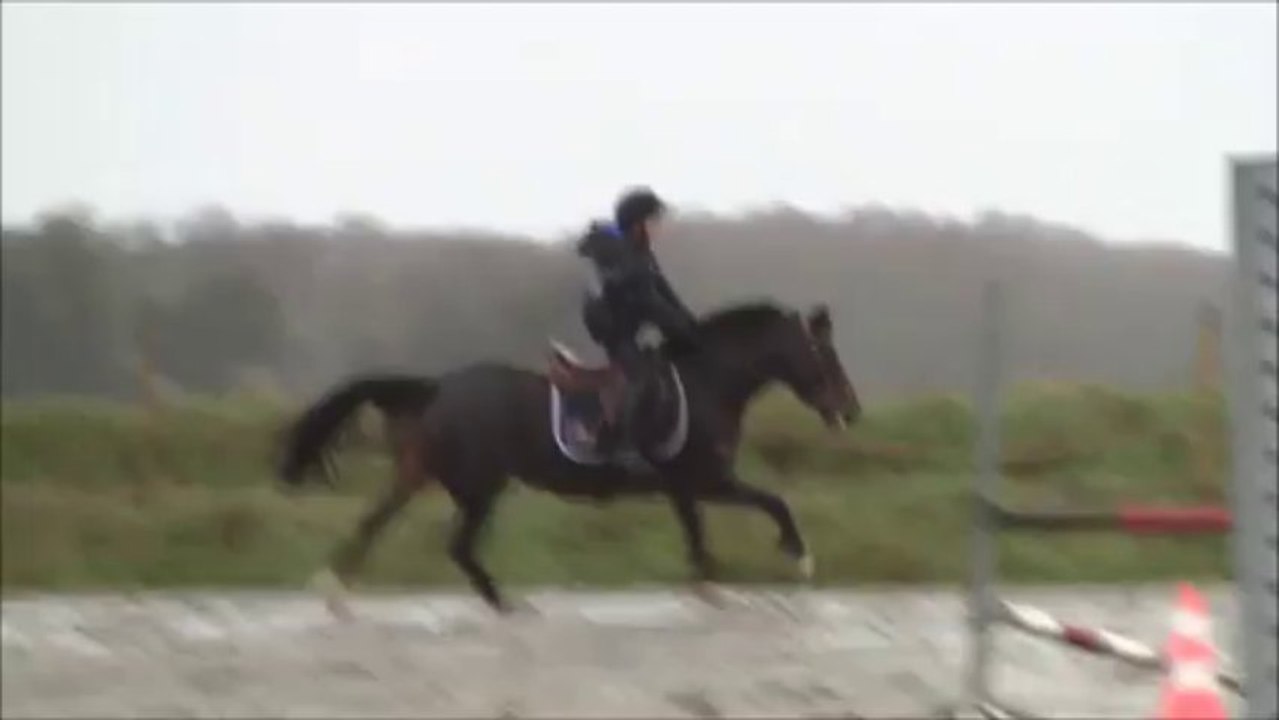 Toupie d'Arvor et Pierre-Louis le 5 janvier 2014