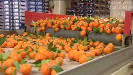 Grève à la SNCM : déblocage du fret entre la Corse et le continent