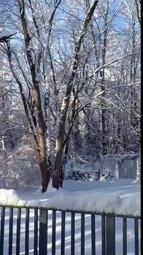 Man Throws Boiling Water in Sub-Zero Temperatures