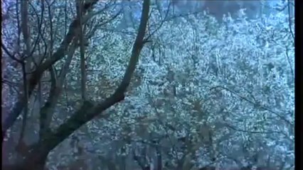 Suhani Chaandni Raatein - Mukesh - MUKTI