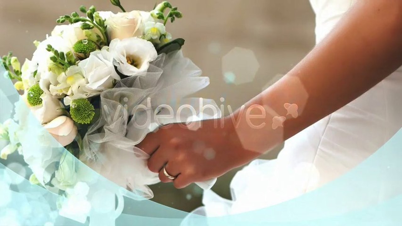 Elegant Wedding Package - After Effects Template