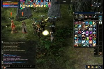 GameTag.com - Buy Sell Accounts - Lineage 2 skill bug