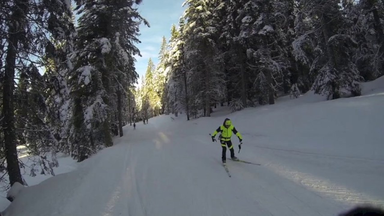Technique ski de fond skating