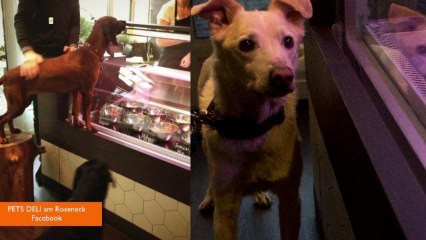 'Doggy Deli' Opens in Germany