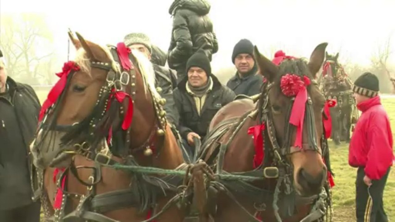 Los caballos benditos de Rumania
