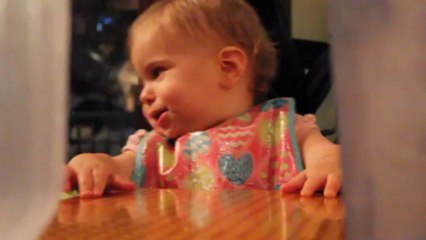 Ember's Night Out on the Town - Sarasota FL - January 2014