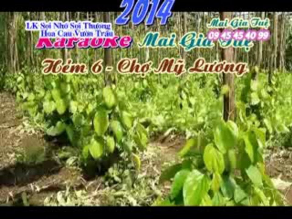 [KARAOKE NHAC SONG] LK SOI NHO SOI THUONG & HOA CAU VUON TRAU