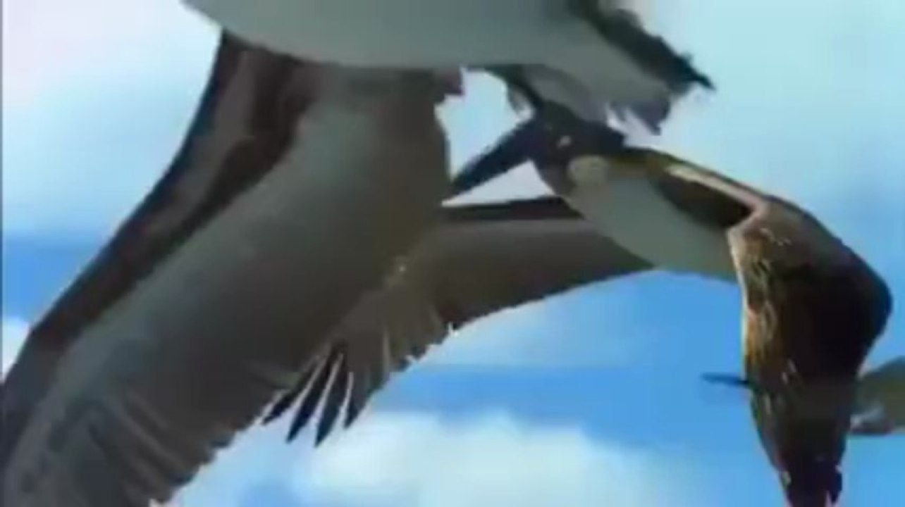 SubhanALLAH Amazing video