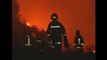 Forest fires rage in Chile