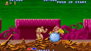 [Arcade Mame] Altered Beast