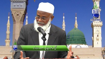 Huzoor (saw) ki Hayat Mubarak Kay Numayan Goushain by Salim Zubaidi