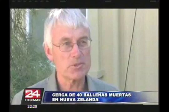 Cerca de 40 ballenas murieron tras quedar varadas en playa de Nueva Zelanda
