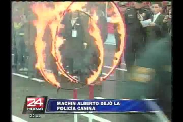 'Machín Alberto', el famoso perro de la policía canina, pasó al retiro