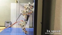 Gecko-Like Robots to Fix Spacecrafts