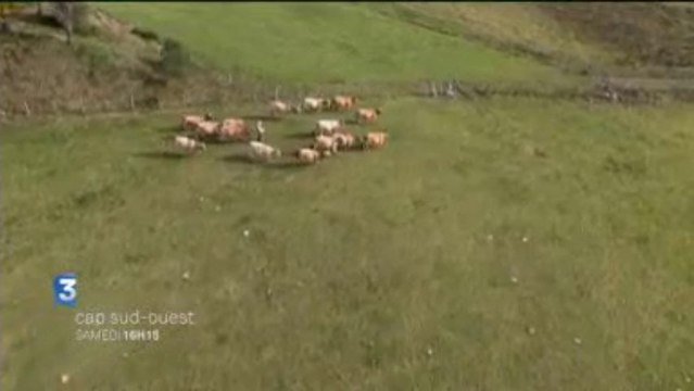 BA Cap Sud Ouest dans l'Aubrac