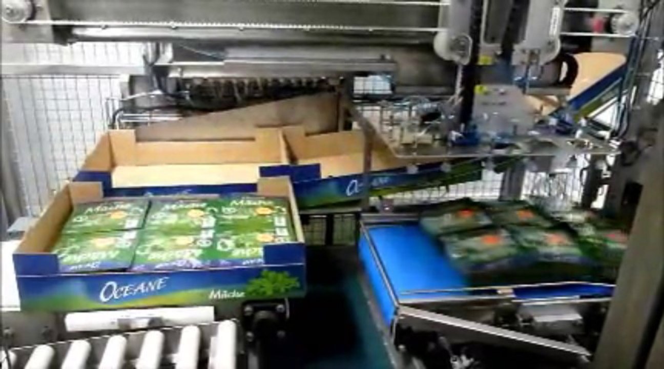 Encaissage automatique de barquette de salade (mâche)