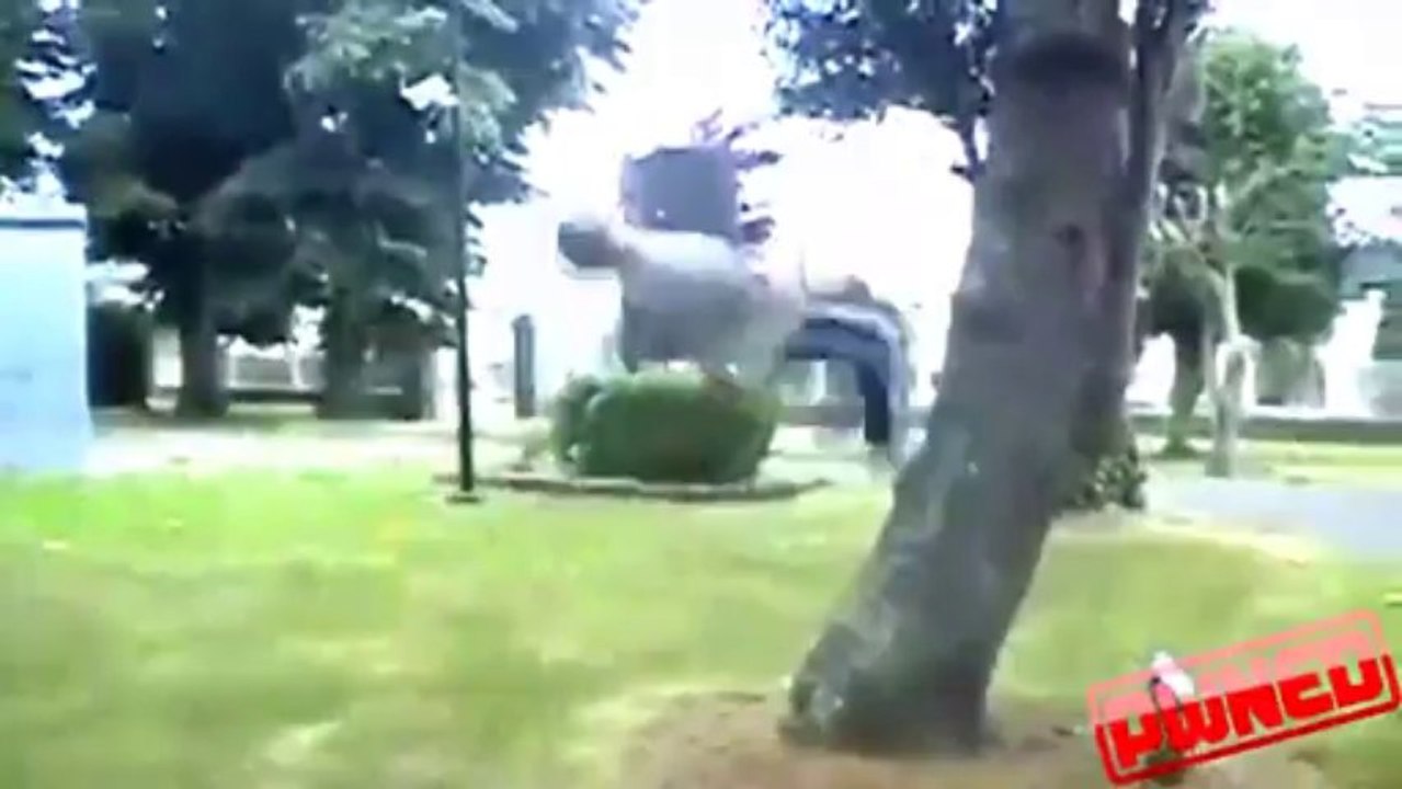 PWNED - Parkour Tree Flip Fail