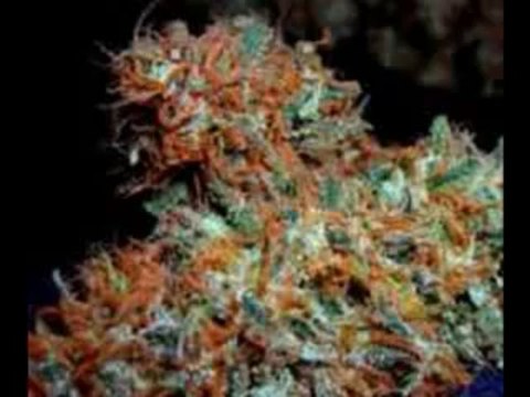 Platinum Society Medical Marijuana Dispensary