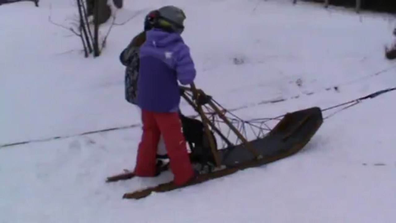 chiens de traîneau 5