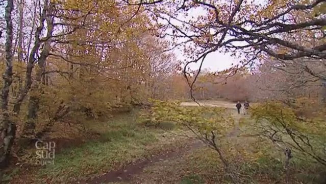 Cap Sud Ouest - Aubrac, une terre de rencontres