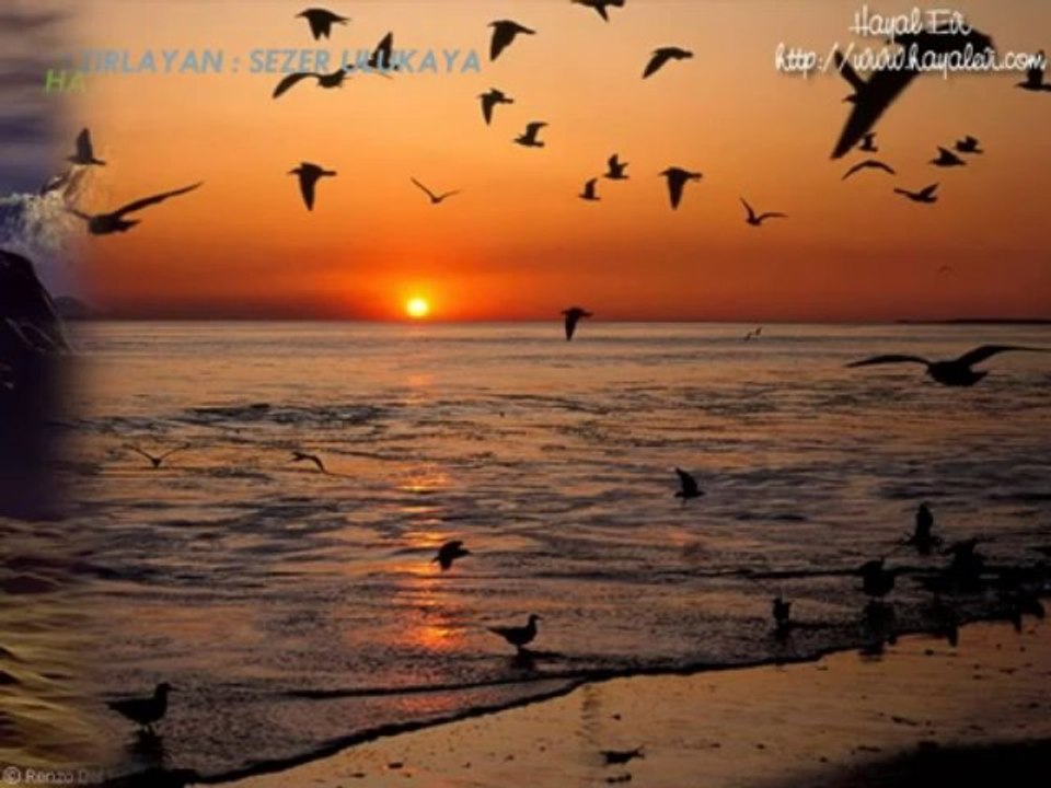 TESLİM BUDAK GİDERSEN UĞUR OLA ARGUVAN YOLUN OLA