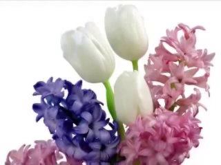 Mehmet Özkaya-Can suyu