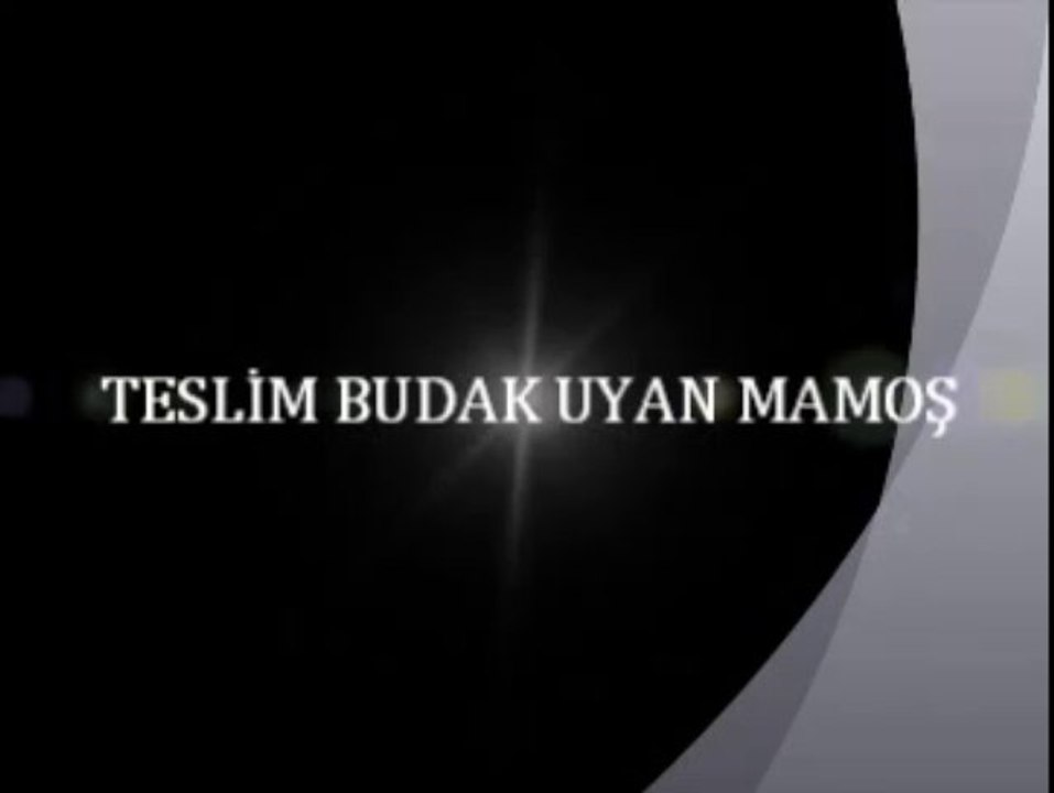 TESLİM BUDAK UYAN MAMOŞ. http___www.profilimebak.com_
