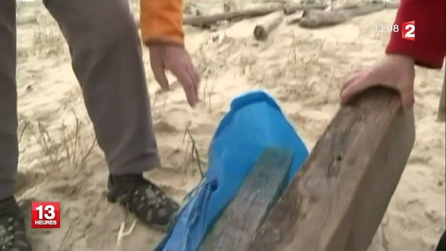 Les déchets jonchent les plages de la côte atlantique